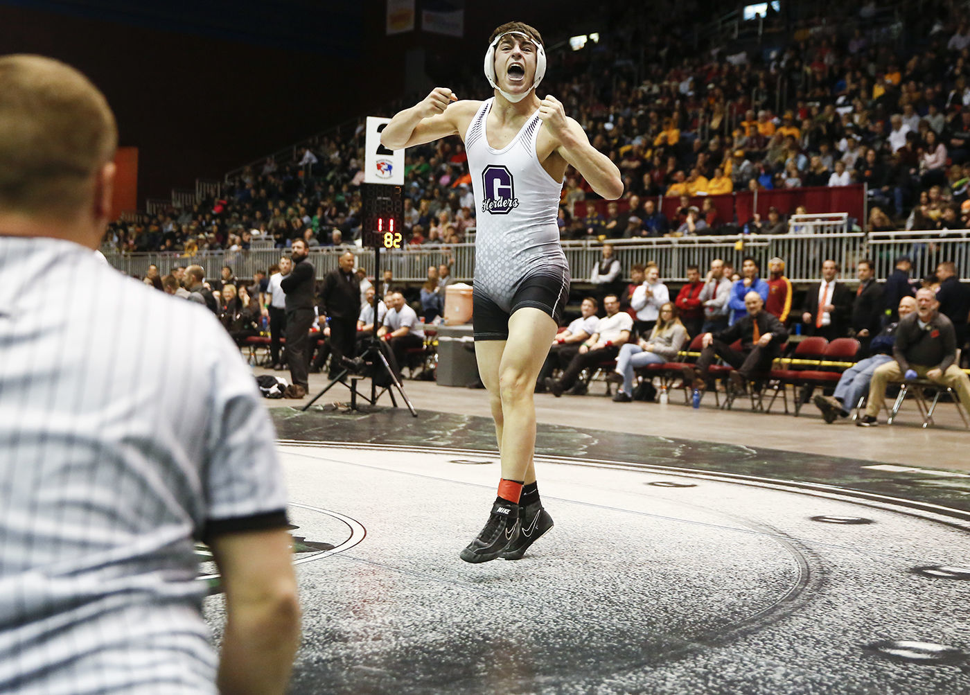 State Wrestling Finals